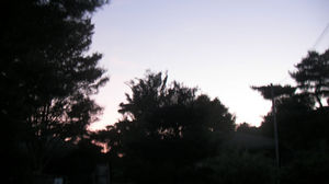 09092404.jpg