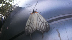 09092415.jpg