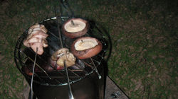 2010060301.jpg