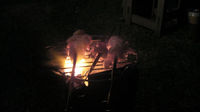 2010060302.jpg