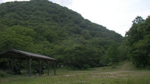 2010060401.jpg