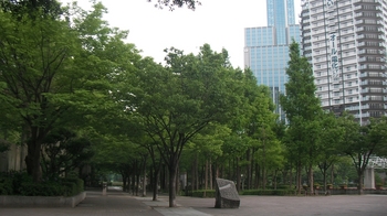 SANY0004_R.JPG