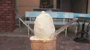 SANY0005_R.JPG