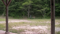 SANY0605_R.JPG