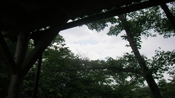 SANY0606_R.JPG