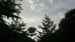 SANY0625_R.JPG