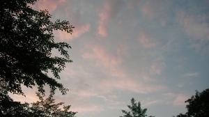 SANY0644_R.JPG