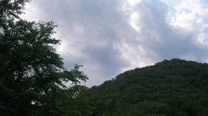 SANY0693_R.JPG