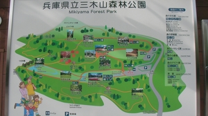 SANY0728_R.JPG