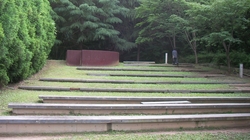 SANY0731_R.JPG