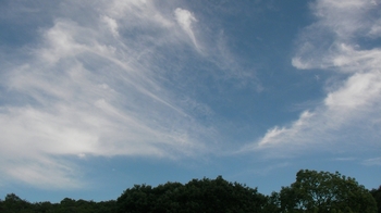 SANY0754_R.JPG