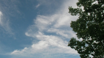 SANY0755_R.JPG