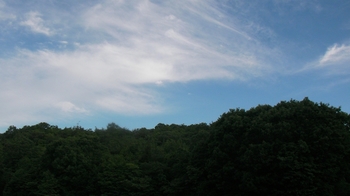 SANY0757_R.JPG