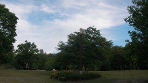 SANY0761_R.JPG