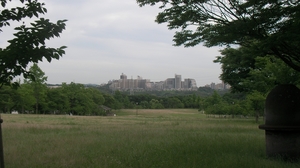 SANY0813_R.JPG