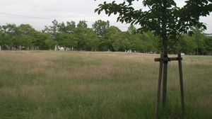 SANY0814_R.JPG