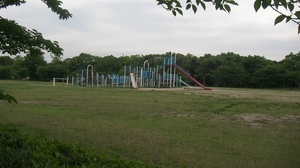 SANY0827_R.JPG