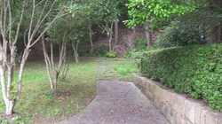 SANY0831_R.JPG
