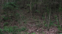 SANY0834_R.JPG