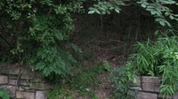 SANY0835_R.JPG