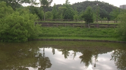SANY0840_R.JPG