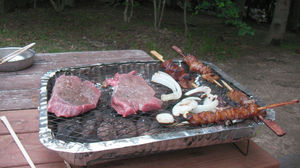 bbq18.jpg