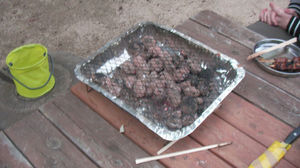bbq19.jpg