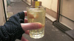 lemon1.jpg