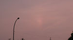 mukogawa2.20080522.jpg