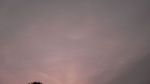 mukogawa3.20080522.jpg