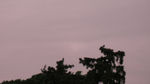 mukogawa7.20080522.jpg